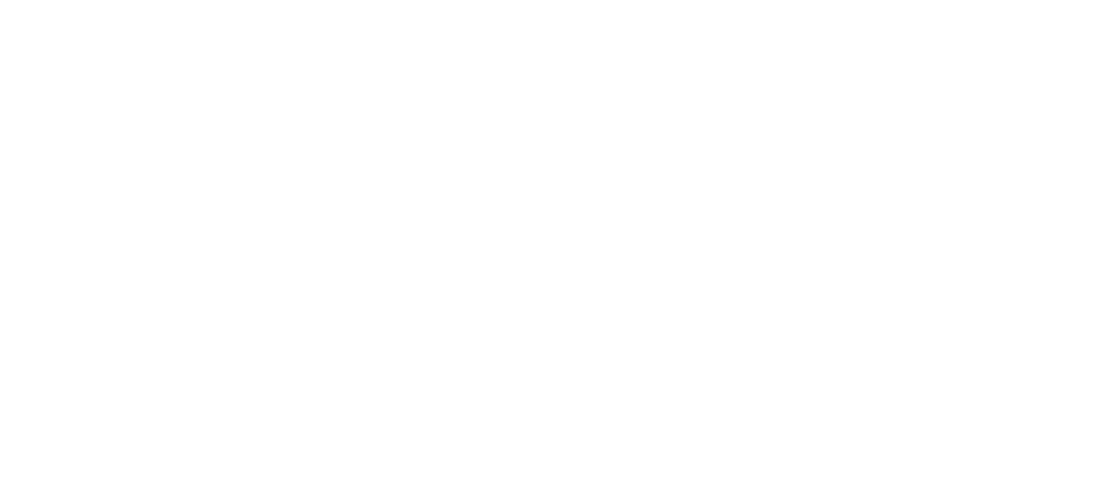 Childrens' Miracle Network Logo